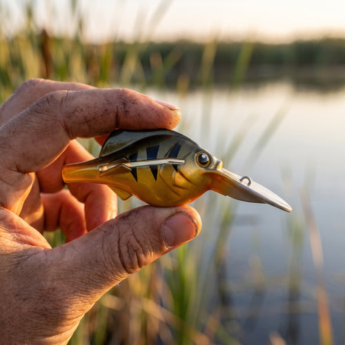 Harpoon Perch